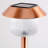 Vanesa Copper Low Voltage Integrated LED Metal Pathway Light Pack