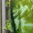 Large-Scale Plant Shadow Texture Privacy Window Sticker