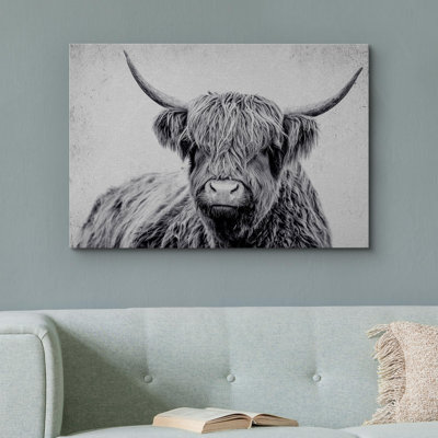 Portrait d'animaux sur fond blanc