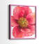 Pivoine arborescente I - impression encadrée de qualité supérieure - prête à être accrochée - aucun clou requis - aucun clou requis-1496379953-1496379964