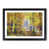 Black Framed selected
