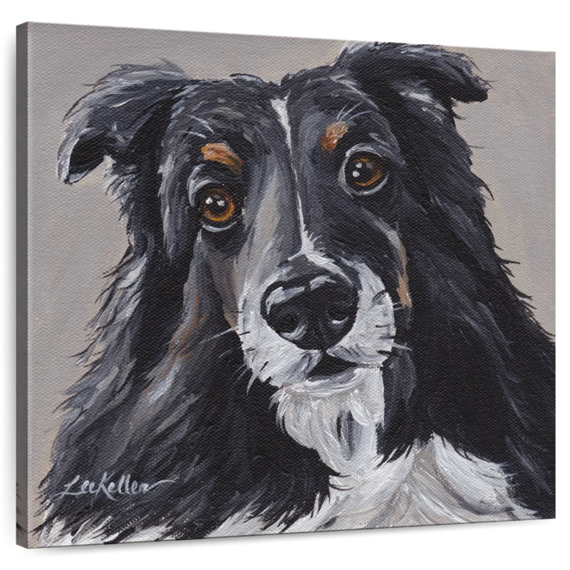 Brampt Sheltie On Gray, 33'' H x 33'' W