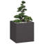 Planter 80x80 Cm Steel-523919839-523919837
