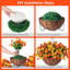 Arrangement de marguerites-1981490500