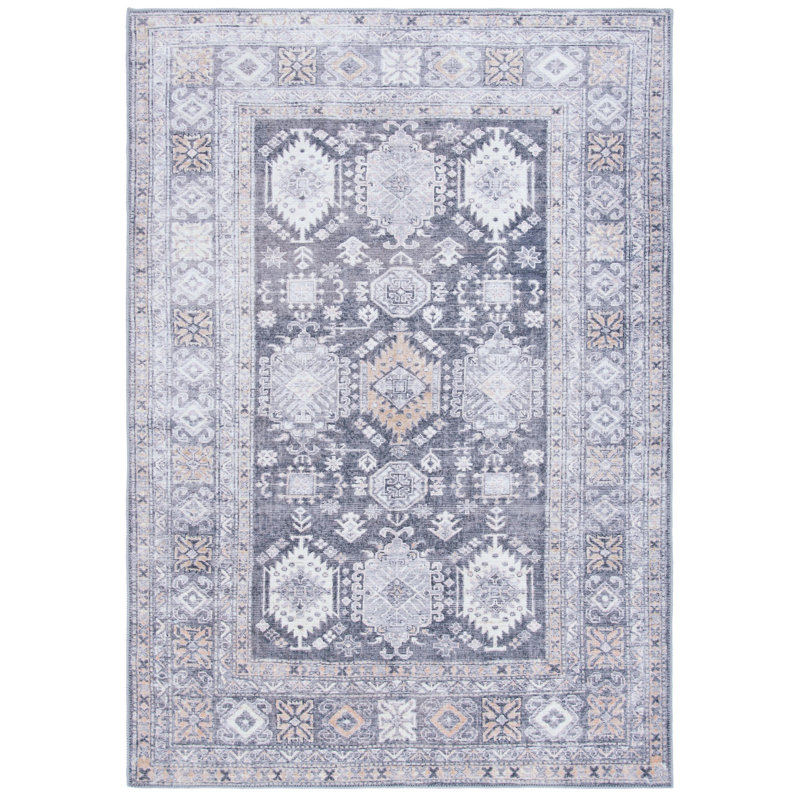 Brazzell Performance Machine Washable Oriental Rug, Rectangle 5'3" x 7'7"