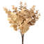 Buisson d'eucalyptus d'automne 20 po-128538651