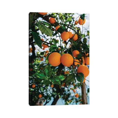 Amalfi Coast Oranges III by Bethany Young - Print on Canvas