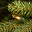 Jersey Fraser Fir Medium Tree with Dual Color LED Lights-1937365295