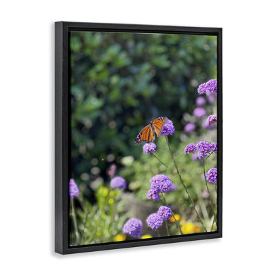 Butterfly in Meadow Framed Floater Canvas Wall Art by Kali Wilson