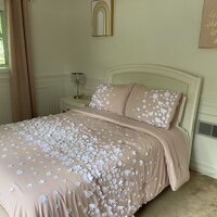 Christian Siriano Confetti Flowers 2-Piece Blush Twin XL Comforter Set  CS2994BSTX-1500 - The Home Depot