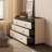 Minimalist Jewelry Drawer Dresser Storage Cabinet