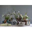 Ensemble de 2 figurines de moineaux
