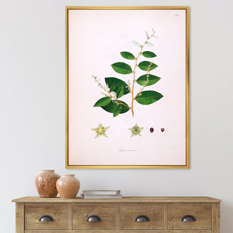 Vie végétale rétro - peinture sur toile, H 20 po x l 12 po x P 1po, Cadre flottant doré