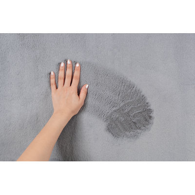 Schnabel Solid Colour Area Rug