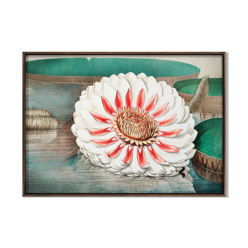 Lilies 3 Print by Grand Archives