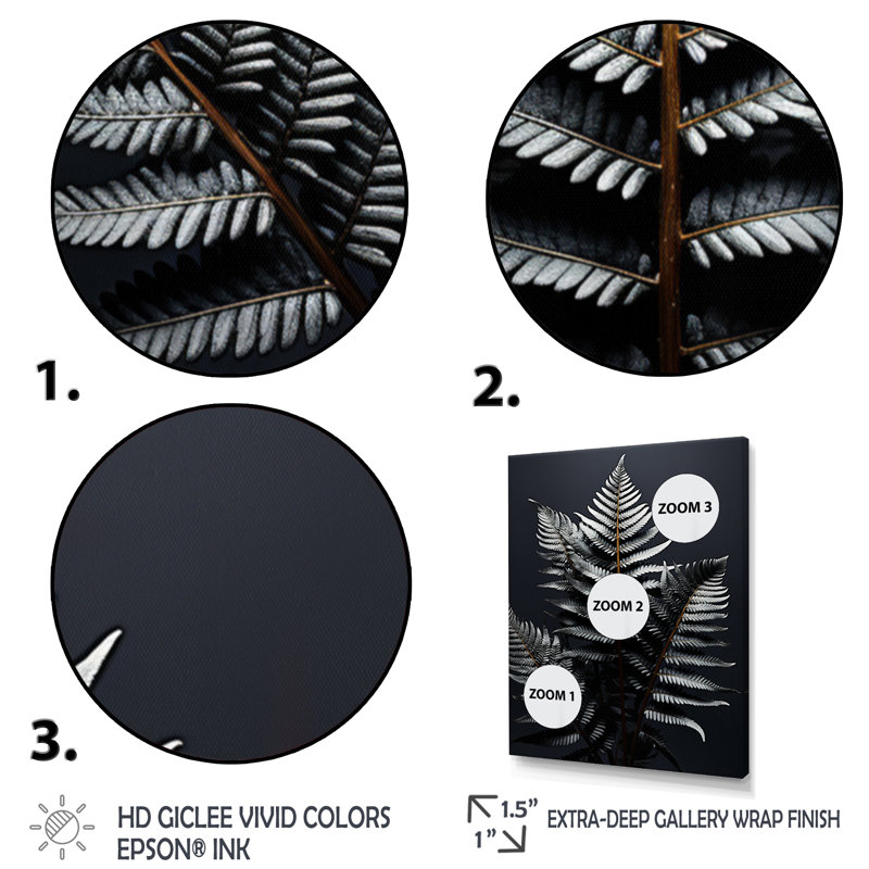 Pantaleon Ferns Bronze Harmony II - reproduction sur toile, H 32 po x l 24 po x P 1 po, Cadre photo noir