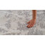 Sutton Geometric Area Rug in Ivory/Gray-2108344659