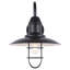 Luminaire de grange d'extérieur noir mat Fasheen