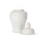 Handcrafted Ceramic Jar
