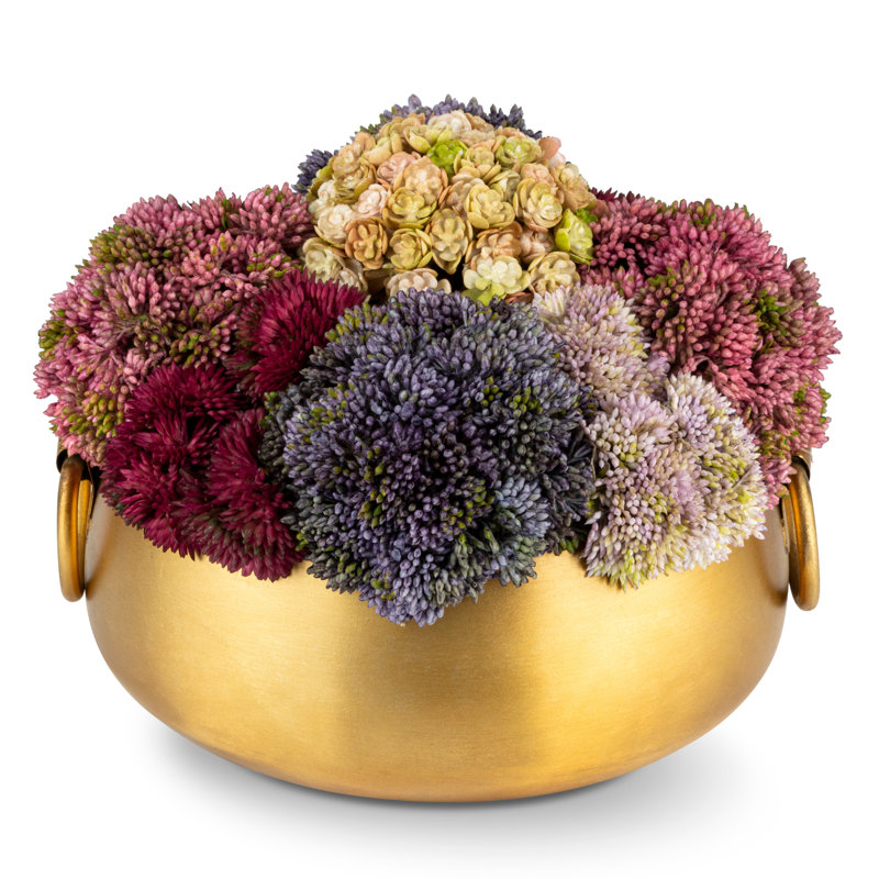 Beatrix Gold Sedum Arrangement