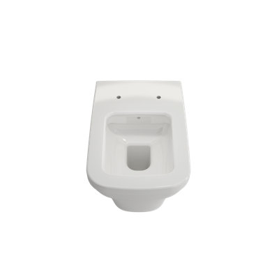 Firenze Wall-Hung Toilet Bowl