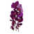 Mauve est en rupture de stock