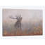 «Red Deer Misty Morning» par David Stribble, impression sur toile tendue-33109740-72410473-72410479