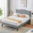 Auxter Upholstered Platform Bed Frame with Adjustable Nailhead Headboard, Velvet Fabric Mattress Foundation with Strong Wooden Slats Support, No Box Spring Needed, Heavy Duty, Easy Assembly-249466513-249466519