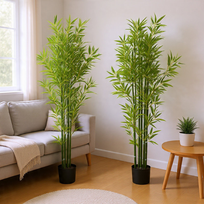 Ensemble de plantes Nadia, Brun, H 72 po x l 42 po x P 42 po