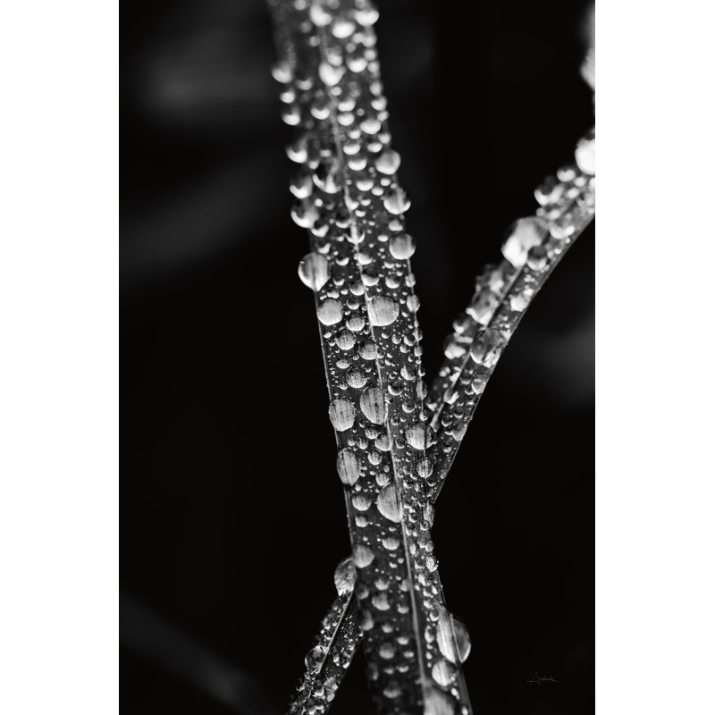 " Water Droplets " by Aledanda, 30" H x 20" W x 1.25" D