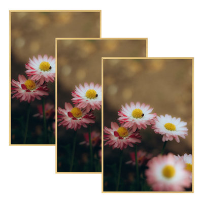 Drennon Metal Poster Frame, Wall Gallery Photo Frames without Mat