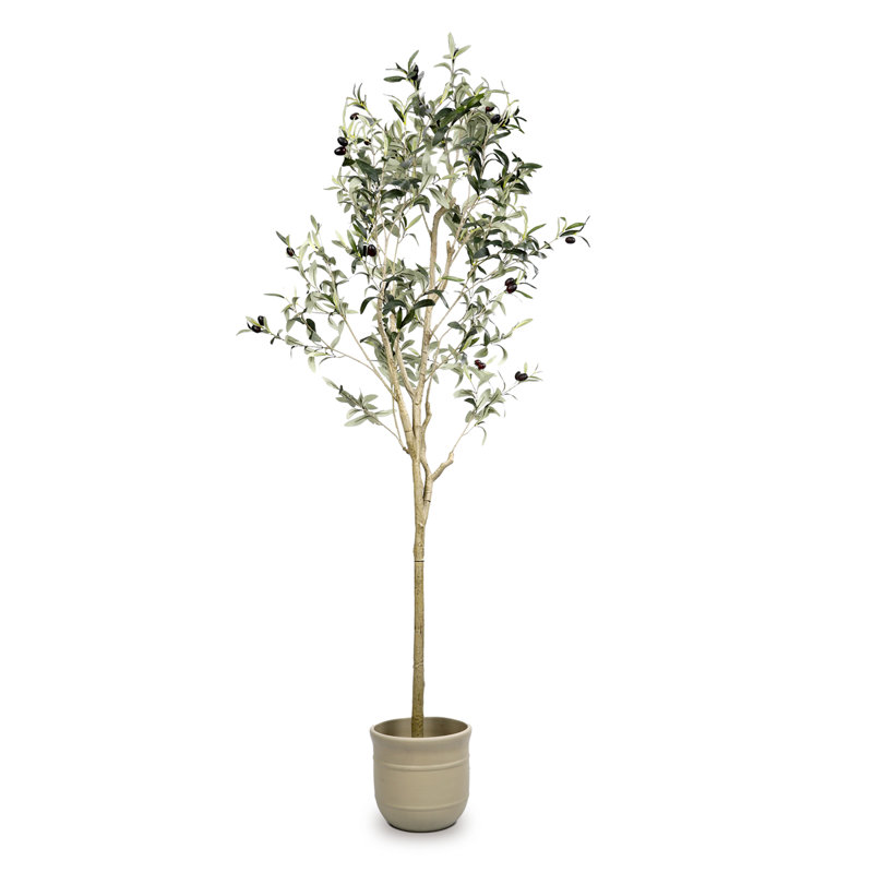 Artificial Olive Tree Natural Olive, 65'' H X 27.5'' W X 27.5'' D
