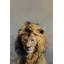 «Retrato De Lion», reproduction sur toile tendue-27175588