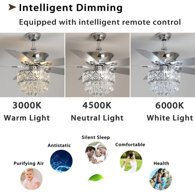 Ceiling Fan