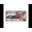 Polyester Desk Pad-1531328608