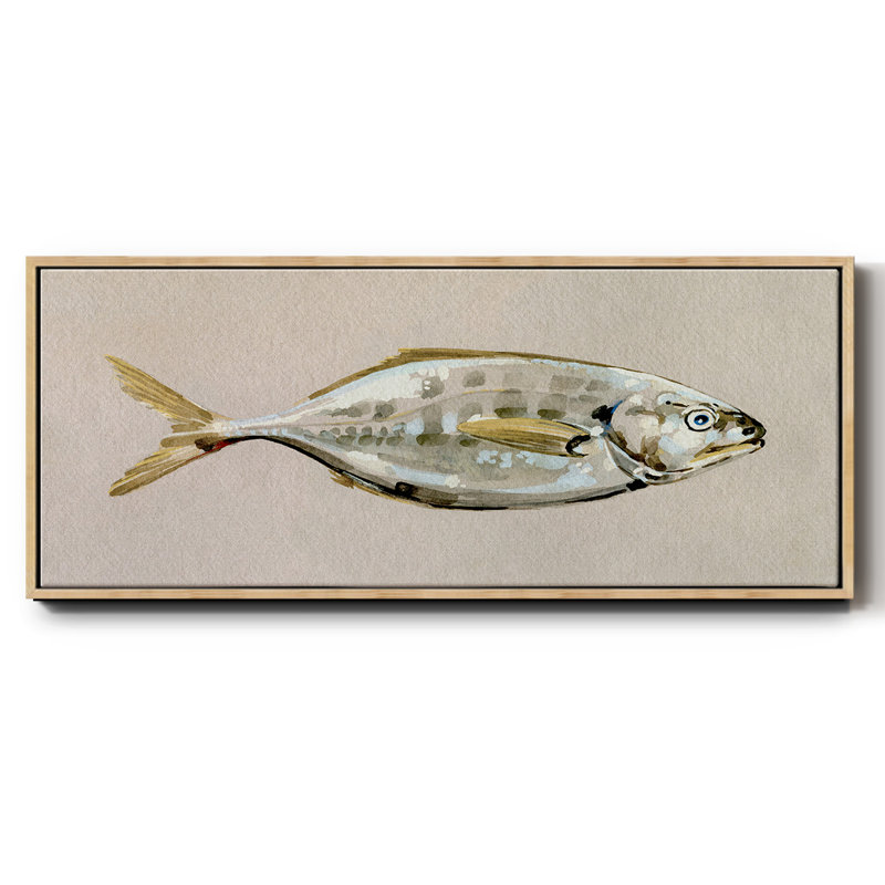 Fresh Fish Study I- Framed Canvas, 12" H x 30" W
