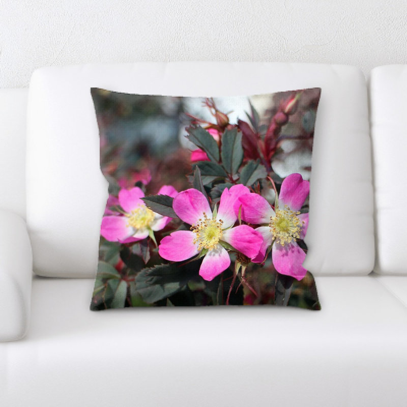 Coussin décoratif rose sauvage
