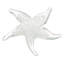 Sculpture nautique décorative Ashayra Glow-In-The-Dark