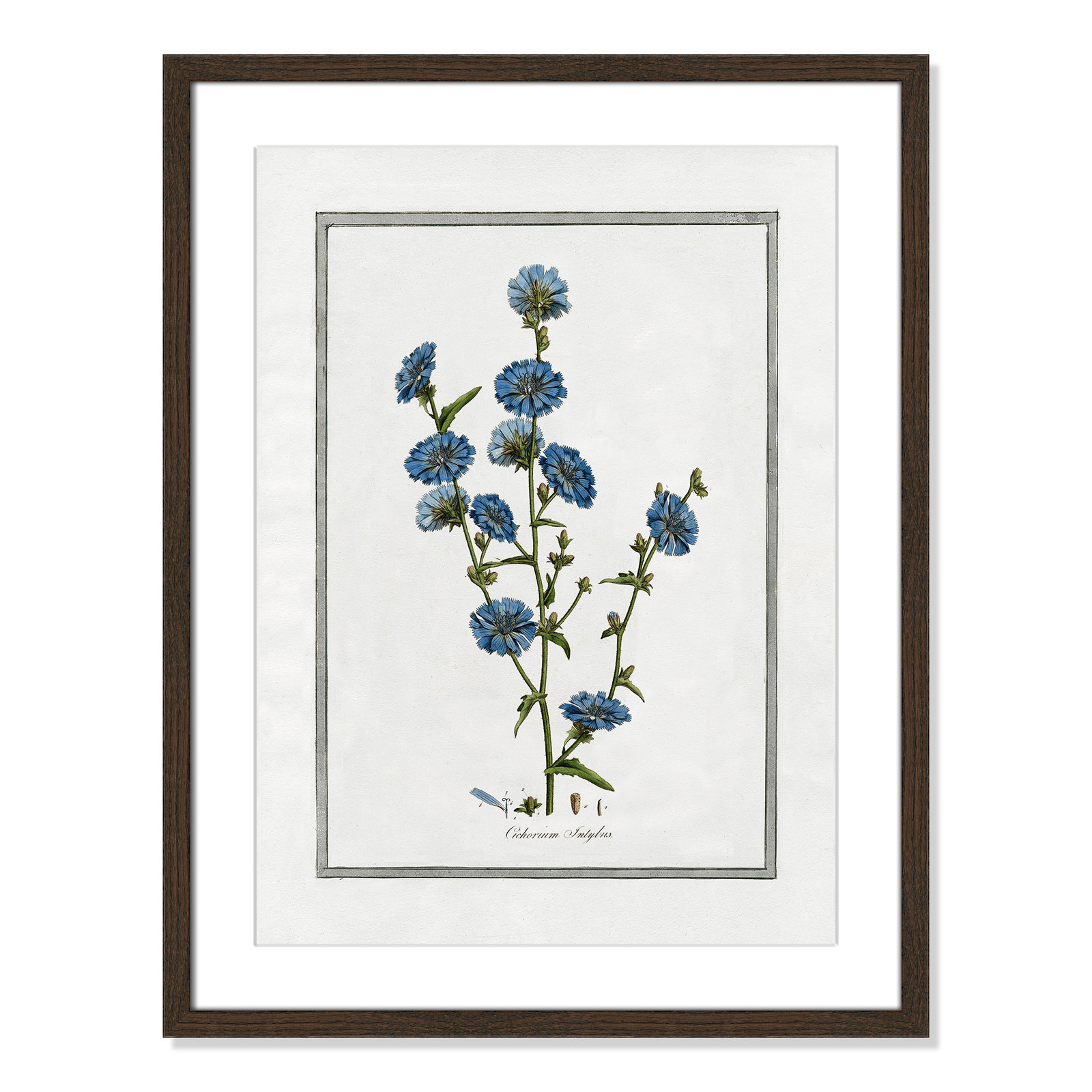 Colombe "Soft Botanical I" Print, 17" W x 23" H, Walnut Framed