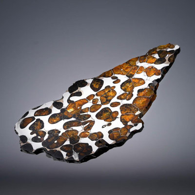 55.77 Gram Seymchan Pallasite Meteorite Slice