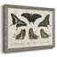 «Crackled Butterflies II», peinture sur toile encadrée-1900715892-1900715898