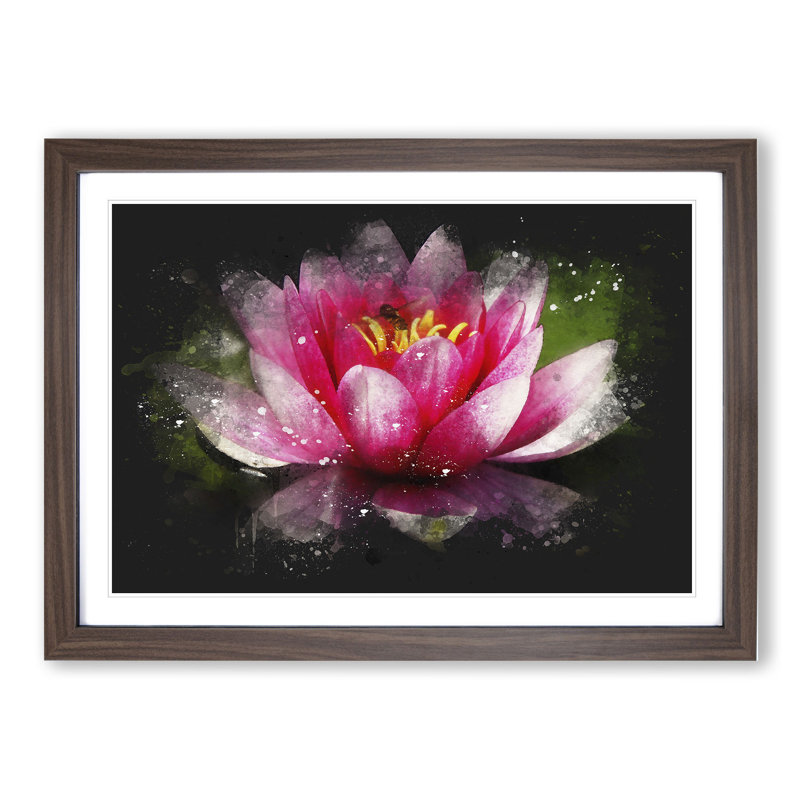 Pink Water Lily Flower Vol.3 - Picture Frame Graphic Art, 65cm H x 90cm W x 2cm D, Walnut Framed