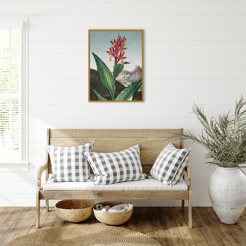 Temple of Flora I par Dr. robert j. Impression sur toile encadrée Thornton, H 30 po x l 23 po