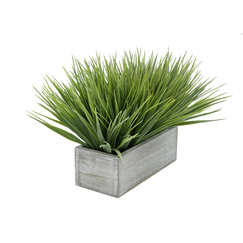 Herbe d'oignon artificielle en pot, Gris, H 9 po x L 15 po x P 10 po, Vert pâle