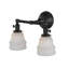 Schoolhouse & Early Electric 2 - Light Armed Sconce