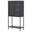 Armoire de rangement avec portes en verre et 2 tablettes réglables-2064006368