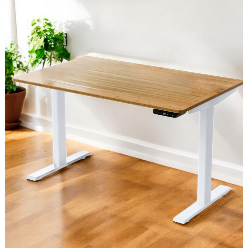 Bureau pour travailler debout à hauteur réglable, Brun / blanc, H 51,6 po x l 60 po x P 30 po