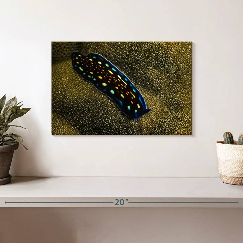 Linda's Flatworm, 8" H x 12" W