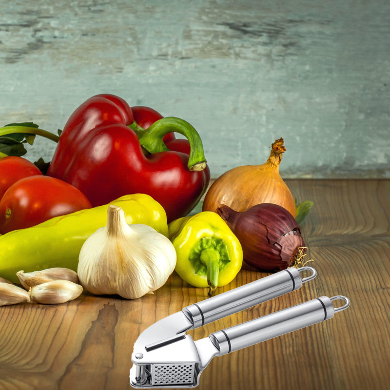 Onewell Stainless Steel Garlic Press