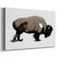 Toile tendue avec bison monochrome I-Gallery-30358133
